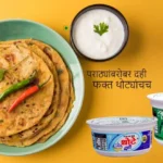 Creamy Dahi